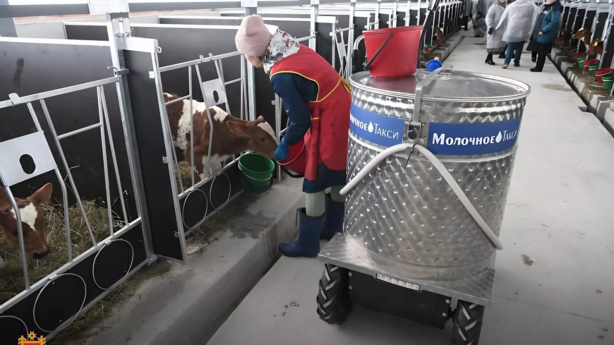 Животноводческие предприятия Карелии увеличивают объемы производства сырого молока